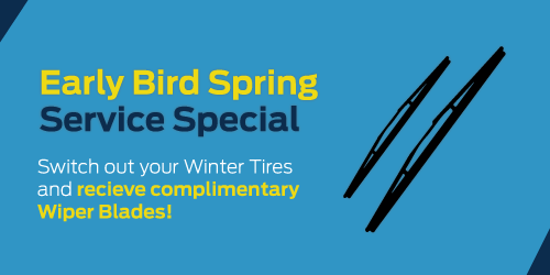 Early Bird Winter Tire Switch Early Bird Winter Tire Switch